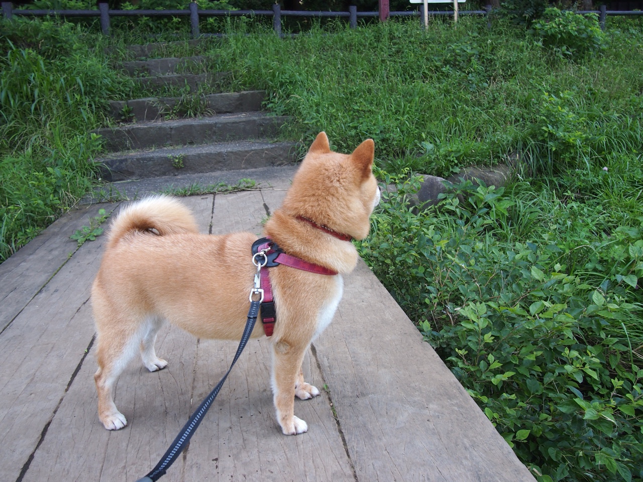 爱游戏体育官方网站-NBA年度盛典:奖项争夺、盛大颁奖引人期待,nba 颁奖典礼