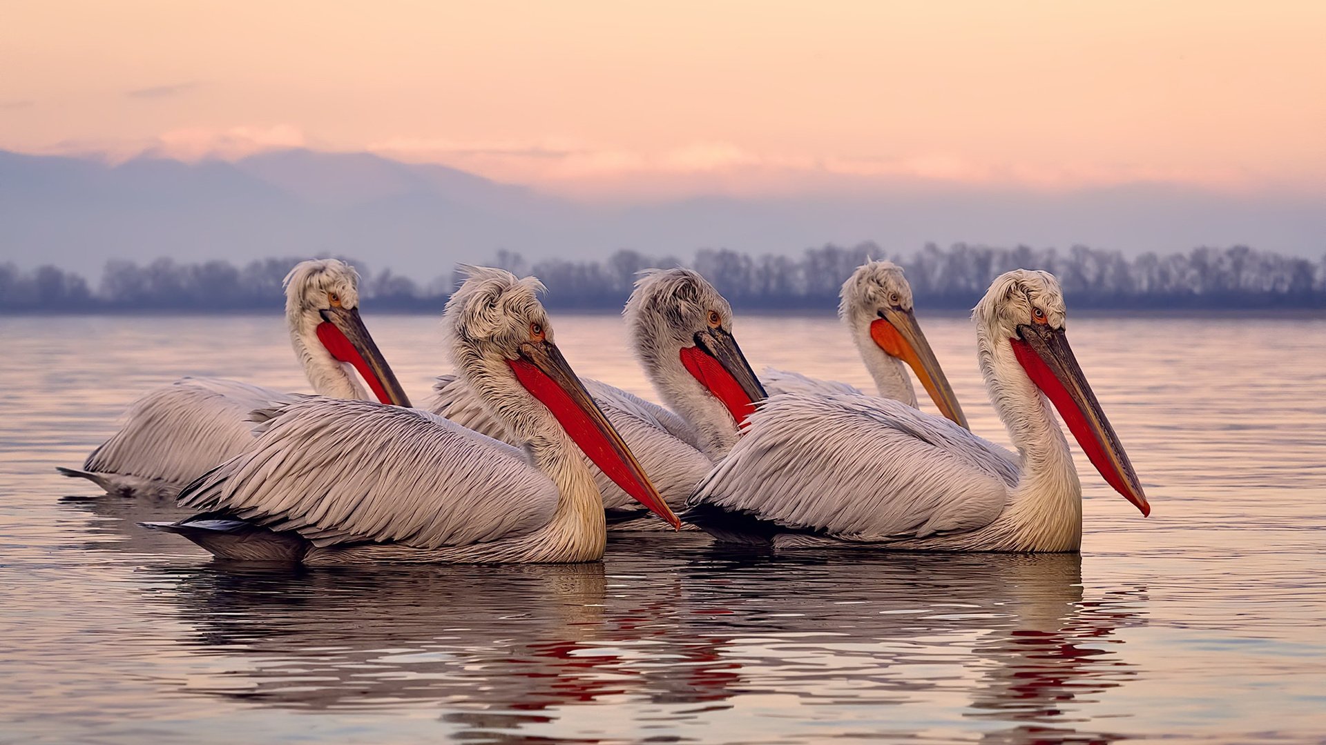 -_勇士队展现三分神技，连续获胜_，勇士队三分投手