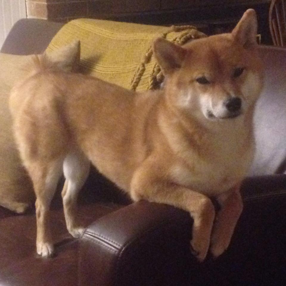 爱游戏体育app-_名场面回顾：那些让人热血沸腾的比赛时刻_，瞬间让你热血沸腾的三首音乐