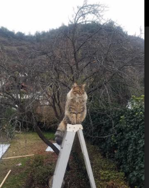 爱游戏娱乐网址-云达不莱梅迎难而上,继续追赶前列,云达不莱梅的球员