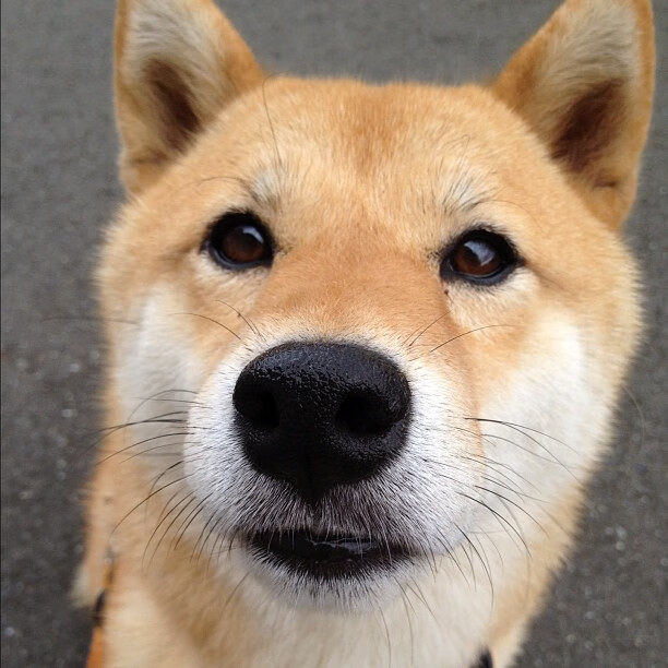 爱游戏官方网站-【逆转精彩】体育史上最令人震惊的比赛战术瞬间集锦，体育逆转时刻