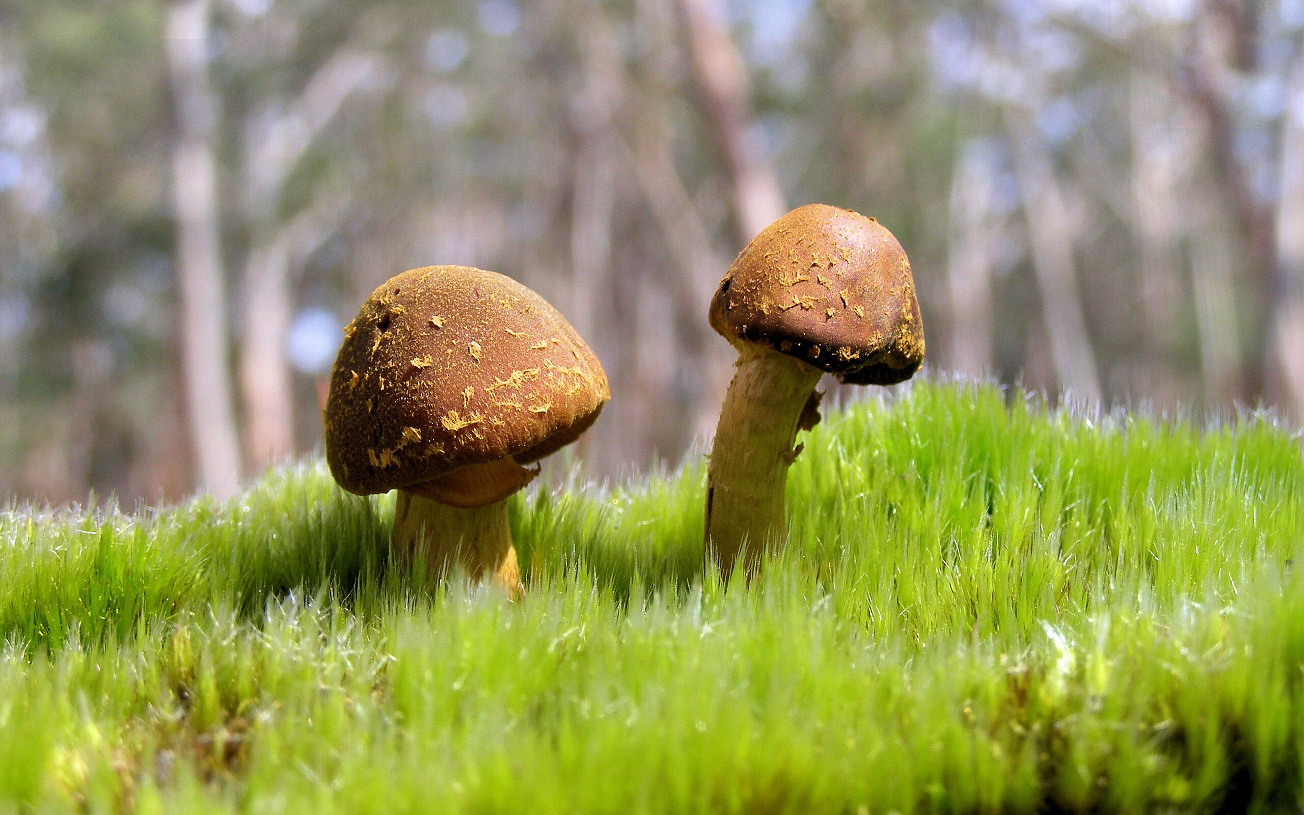 爱游戏体育-最佳瞬间:王强最后时刻三分绝杀,全场欢呼!,最佳现场王宝强