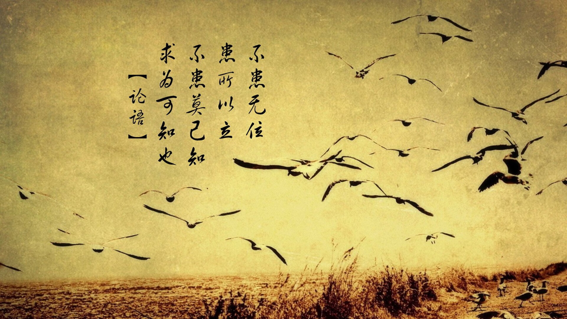 爱游戏体育平台-篮球俱乐部青训体系全新升级方案发布，篮球青年训练营