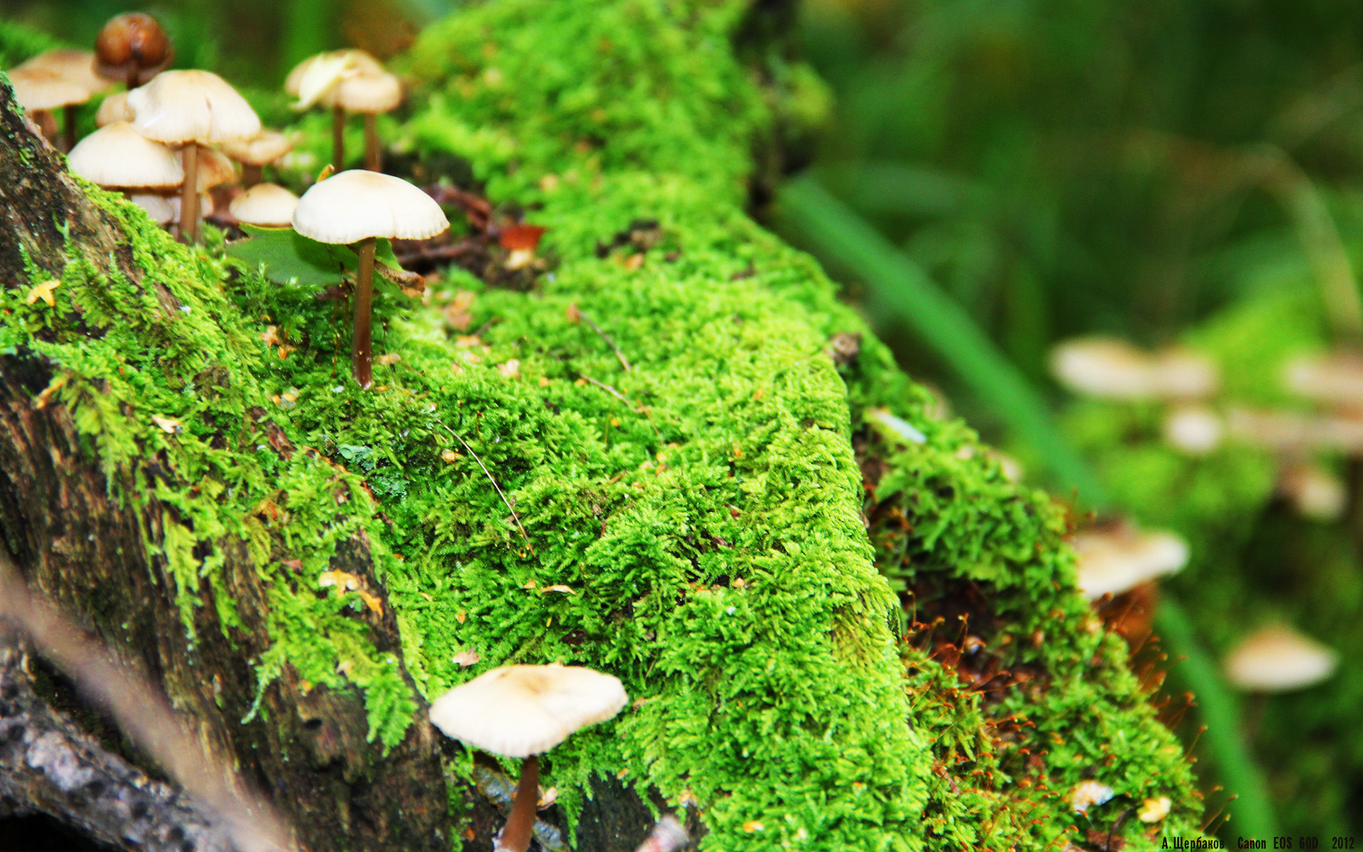 爱游戏app下载-雷霆推动全队使用冥想训练，主帅称“助于球场冷静决策”，雷霆呼吸法是什么