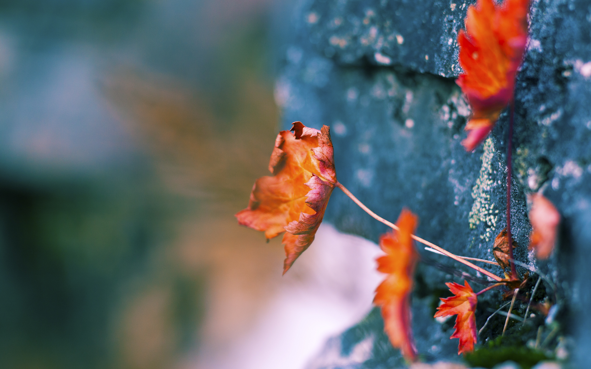 爱游戏体育平台-巴黎圣日耳曼新援表现抢眼，球队整体实力得到提升，巴黎圣日耳曼队员名单最新