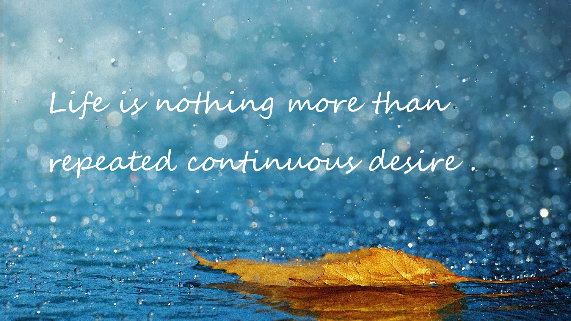 爱游戏娱乐-LCS观看人数略有回升