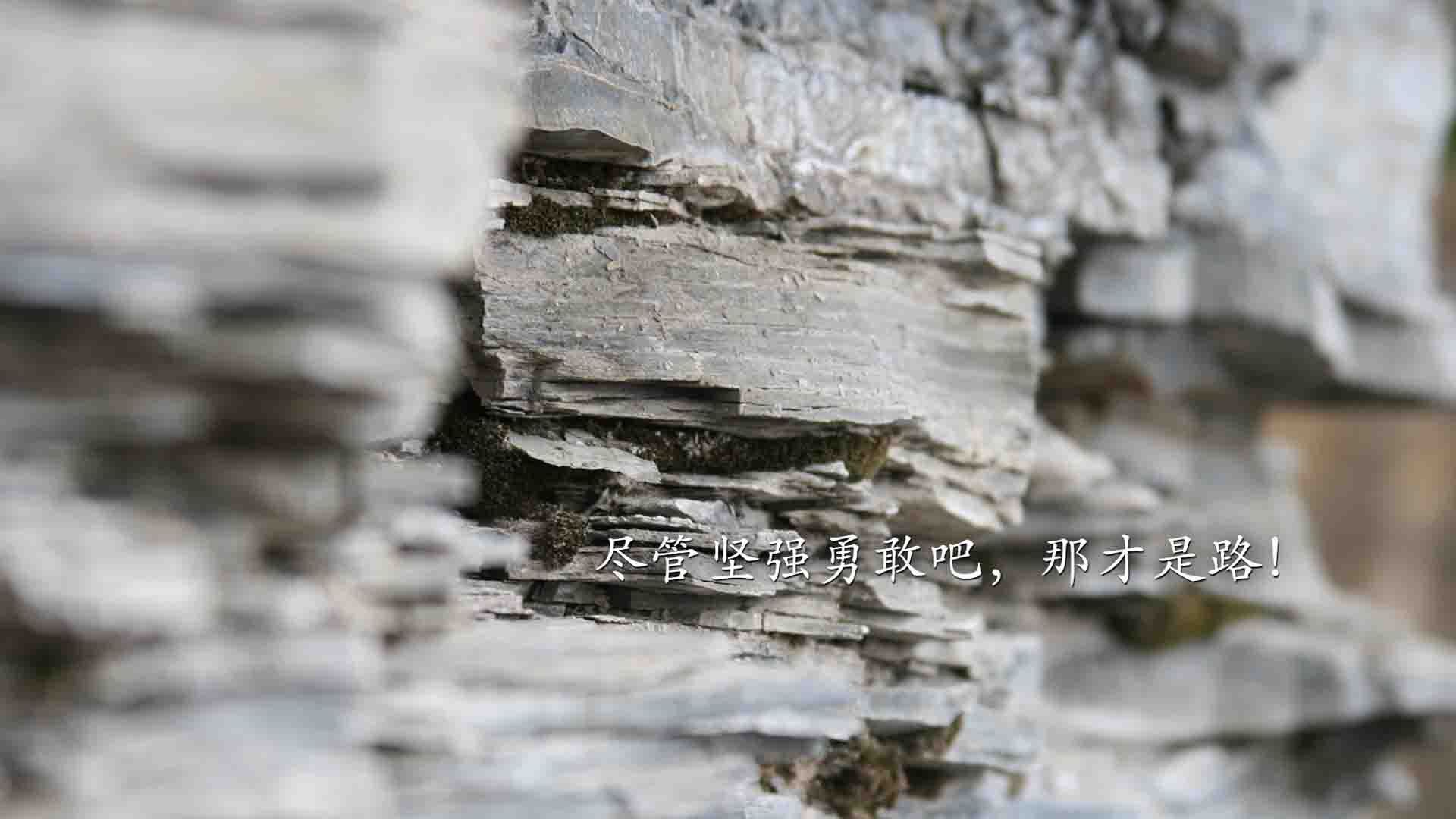 爱游戏体育官方网站-伯恩利主场战沃特福德，硬仗将至胜者难料，伯恩利vs埃弗顿首发