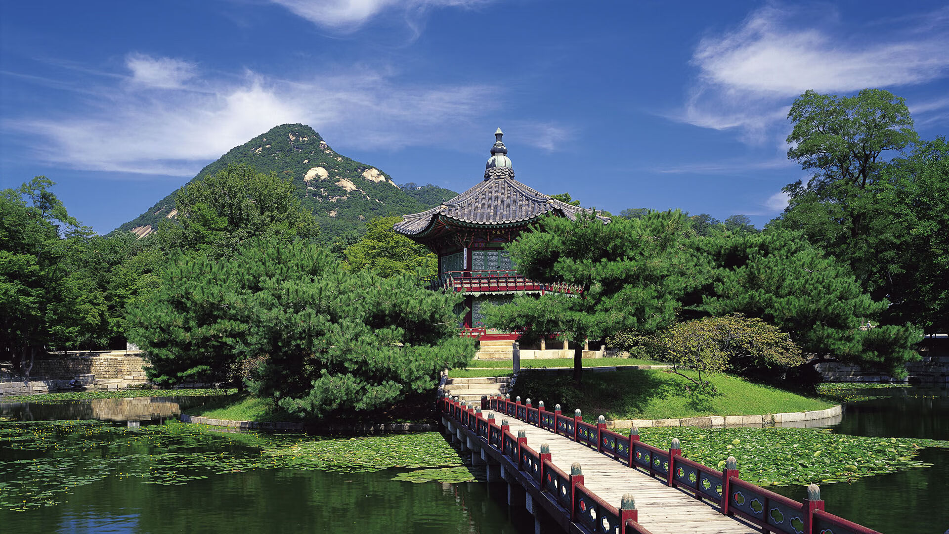 爱游戏娱乐平台-国际足联推动女子足球发展，国际足联女子排名