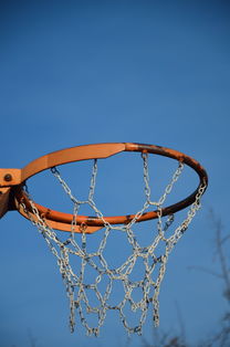 爱游戏官方-NBA球员体能训练计划设计与效果评估，nba球员的体能训练