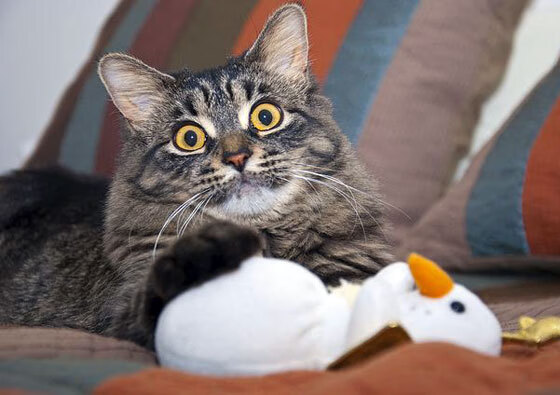 爱游戏官方网站-大连人连续多场不败，大连人连续多场不败的战役