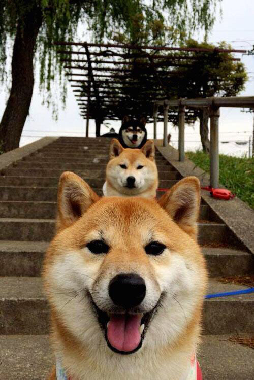 爱游戏体育app-中国篮球联赛球队战术数据分析与决策支持,国内篮球联赛