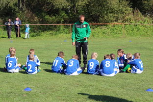 爱游戏app-德甲球队构建战术模拟平台辅助赛中调整，德甲模式