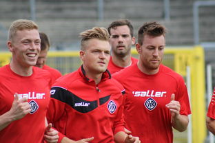 爱游戏app-德甲球队构建战术模拟平台辅助赛中调整,德甲模式