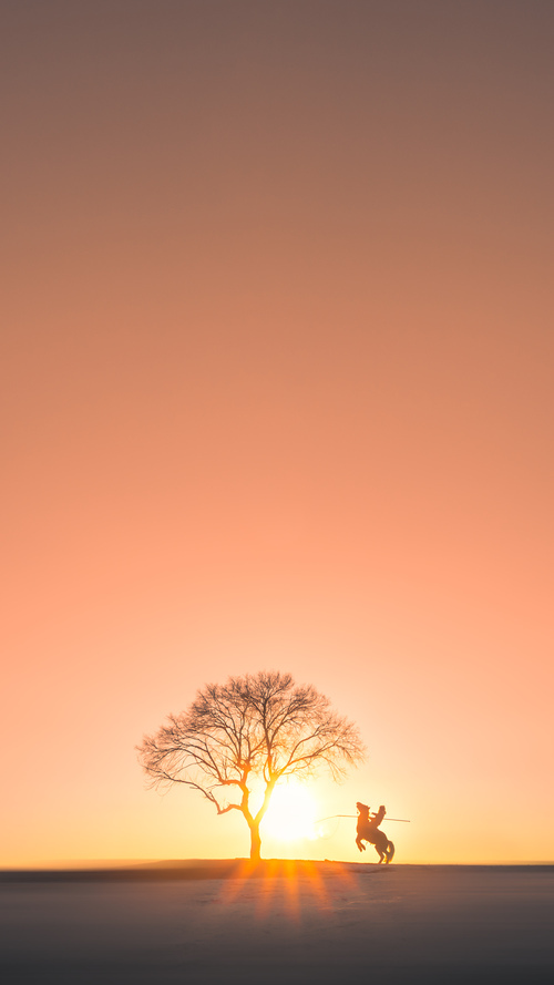 爱游戏官网-悉尼国王防守强度持续提升，悉尼国王赛程