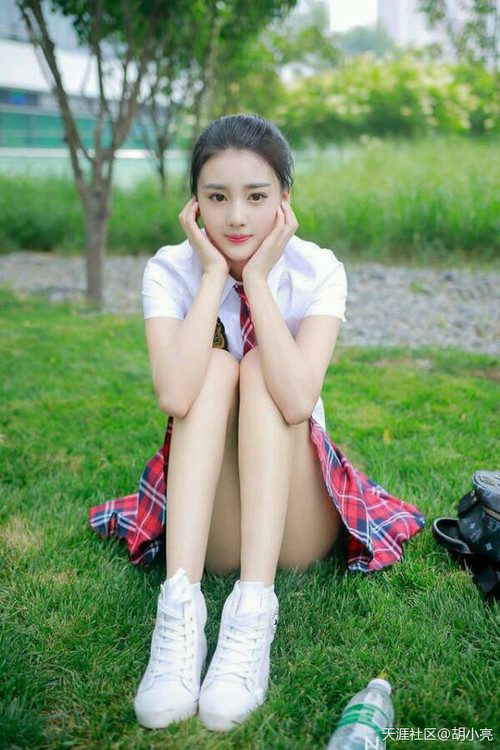 -日本马术协会与亚洲马术协会建立合作关系，推动区域发展。，日本马术金牌