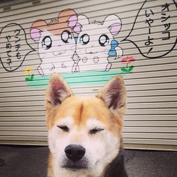 爱游戏体育app-体育赛事品牌传播创新，体育赛事品牌传播创新研究