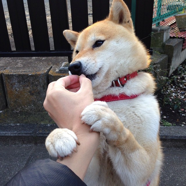 爱游戏在线登录入口-莱昂·马尔尚决赛发挥成大赢家，莱昂内尔