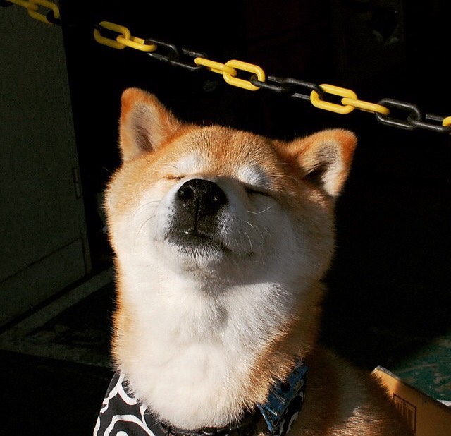 爱游戏电竞官网-训练营组织球员战术竞赛提升场上沟通与协作能力,培养运动员战术运用能力 时,教练员应该如何要求