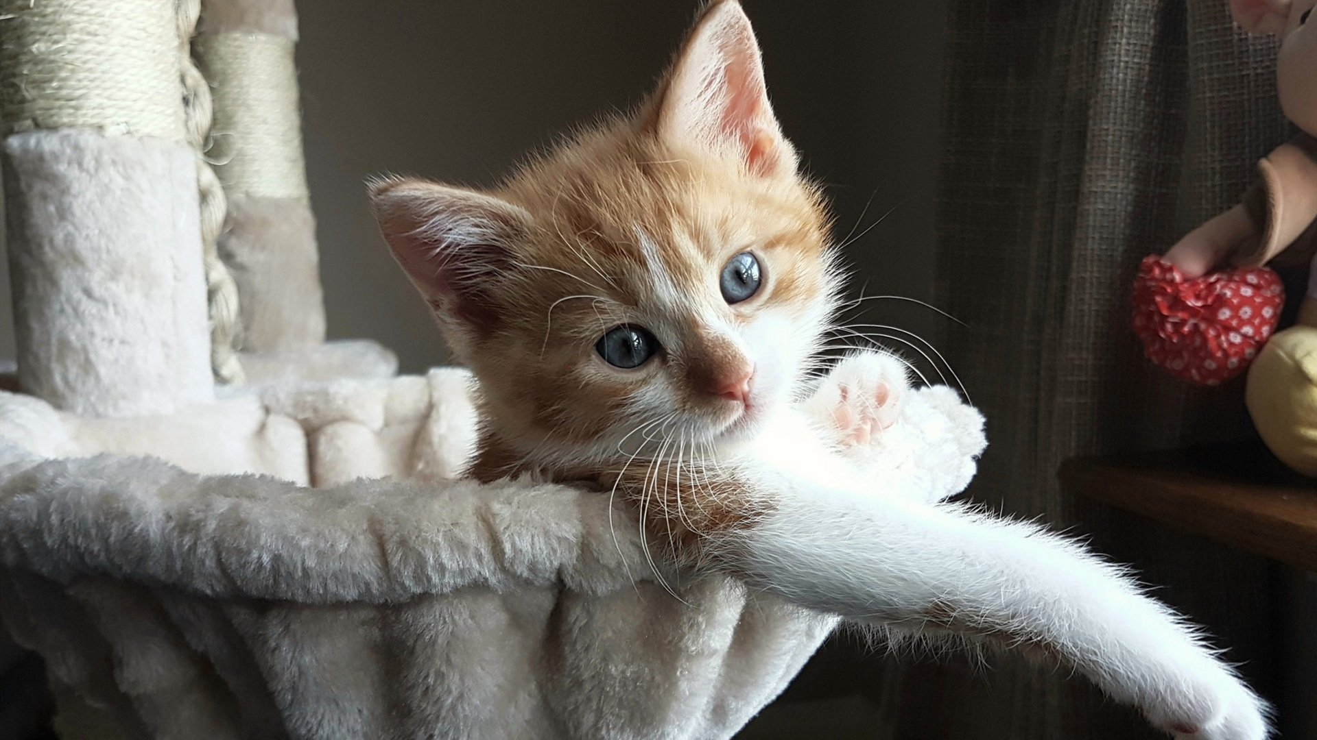 爱游戏 电竞-中美澳接力表现分段图表曝光,中美澳联合国际官方网站