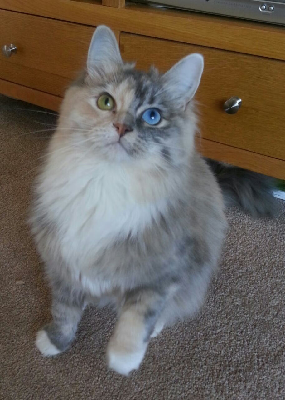 爱游戏综合娱乐-边锋速度快,突破能力强,边锋速度快,突破能力强吗