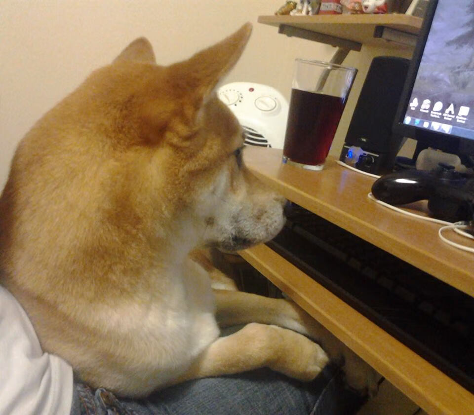 AYX GAME-体育新闻中心推动建设体育教育内容智能匹配系统,体育新闻知识